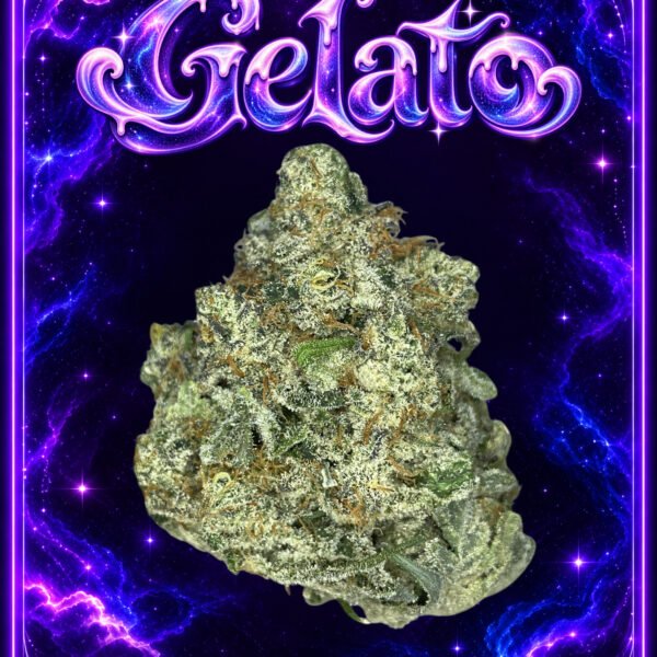 Gelato - AAAA (14G)